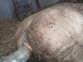 Filthy Farmboy Plays Rough in the Mud with a Thick Dildo